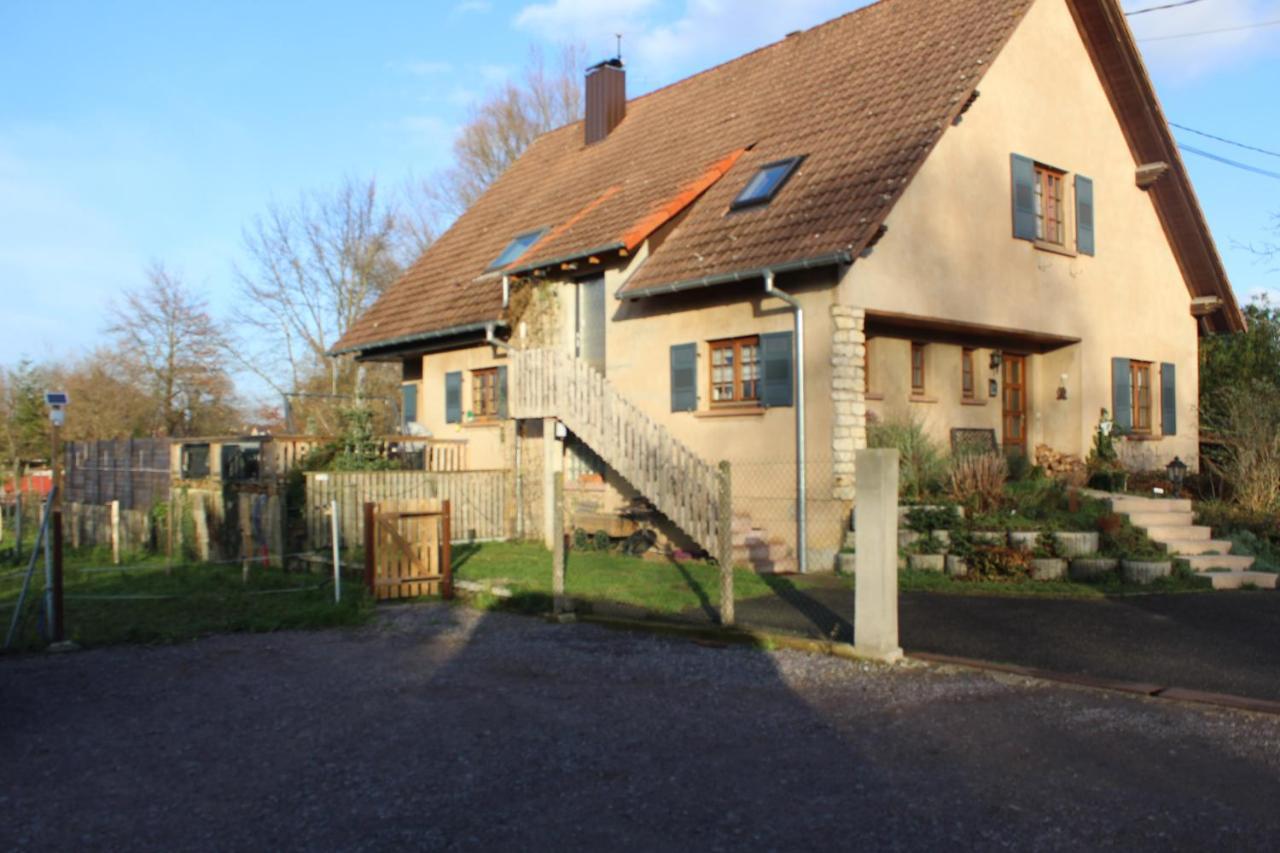 Gites Riviere Et Colline Niedermodern Zewnętrze zdjęcie
